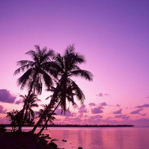 Meet your Posher, Lila